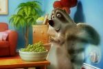 Air Wick - Racoon